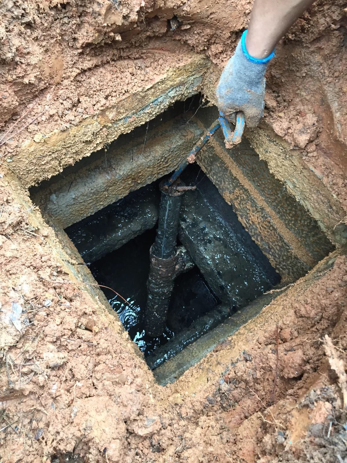 تنظيف جورة السرداب