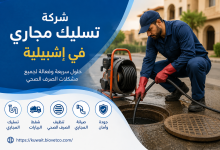 شركة تسليك مجاري في إشبيلية