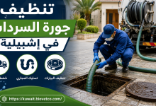 تنظيف جورة السرداب في إشبيلية