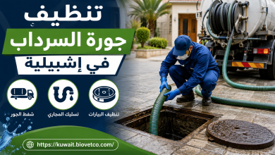 تنظيف جورة السرداب في إشبيلية