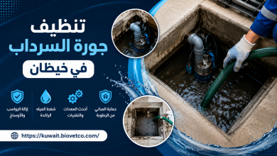 تنظيف جورة السرداب في خيطان