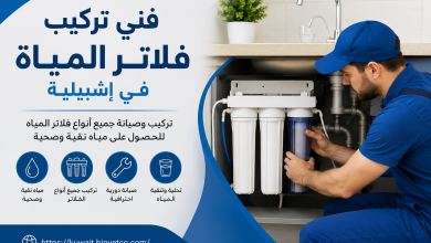فني تركيب فلاتر المياة في إشبيلية